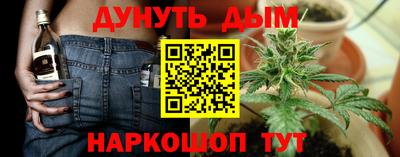 сатива Новодвинск