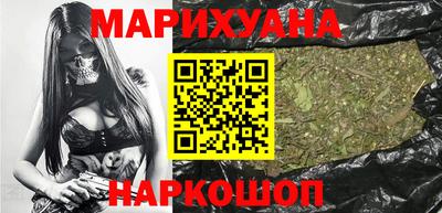сатива Новодвинск