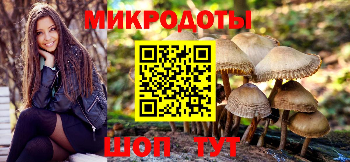 Псилоцибиновые грибы мицелий Советск