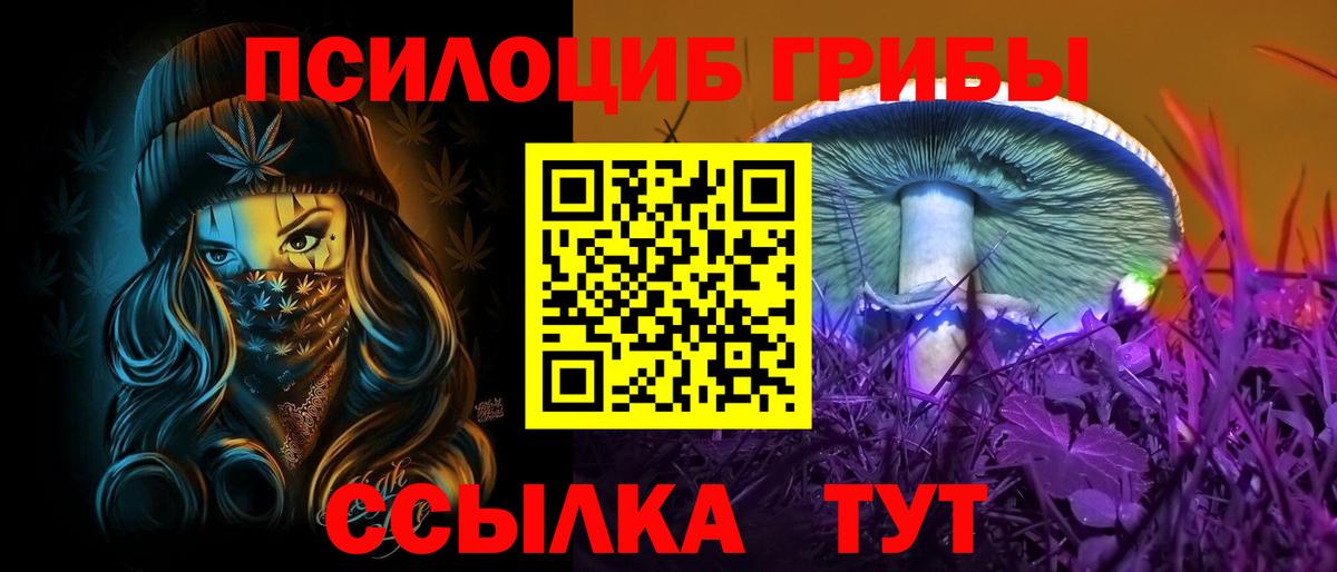 что такое   Вход с VPN  Советск  Галлюциногенные грибы GOLDEN TEACHER 